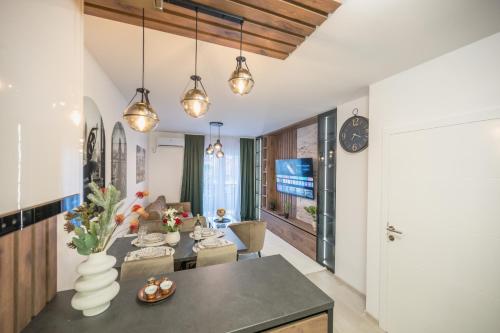 President Lux Apartment Centar Banja Koviljaca stan na dan smestaj apartmani