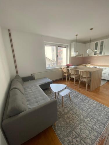 Gala Posh Sokobanja stan na dan smestaj u Hajduk Veljkovoj ulici dvosoban luks apartman sa dvoristem i parkingom