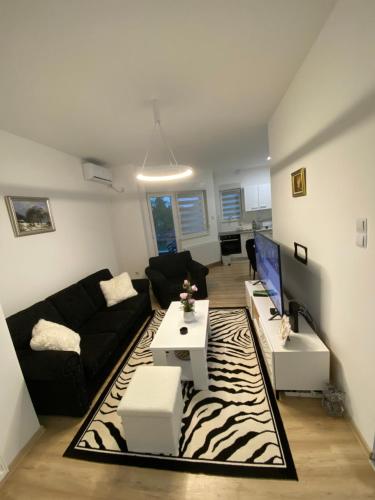 Apartment Nadja Banja Koviljaca stan na dan u ulici Devina kod banjskog parka sa odvojenom spavacom sobom parking