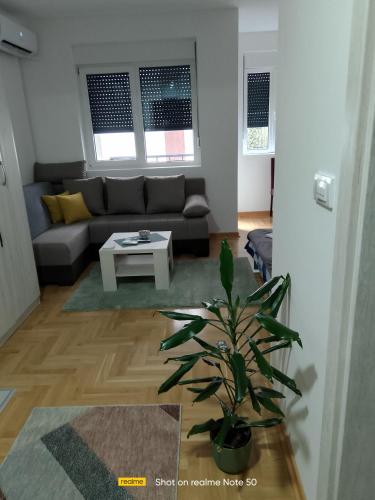 Apartman Konak Vrnjacka Banja stan na dan smestaj u Kneza Milosa zgrada sa liftom terasa parking rampa