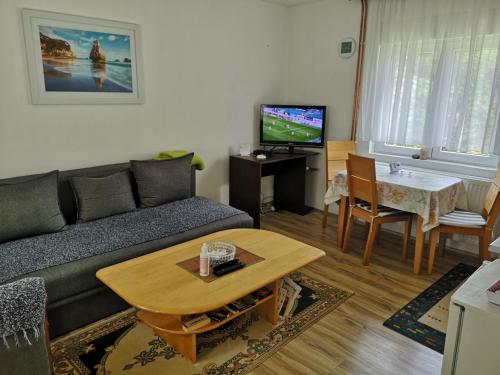 Apartmani Zubor Banja Koviljaca stan na dan u ulici Prvog maja sa dvoristem rostiljem masinom za sudove parkingom